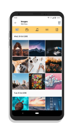 Images Gallery 7 Images Gallery uai