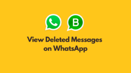 How to View Deleted Messages on WhatsApp Messenger and WhatsApp Business 20 View WhatsApp Deleted Messages